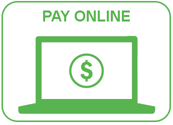 pay online icon new